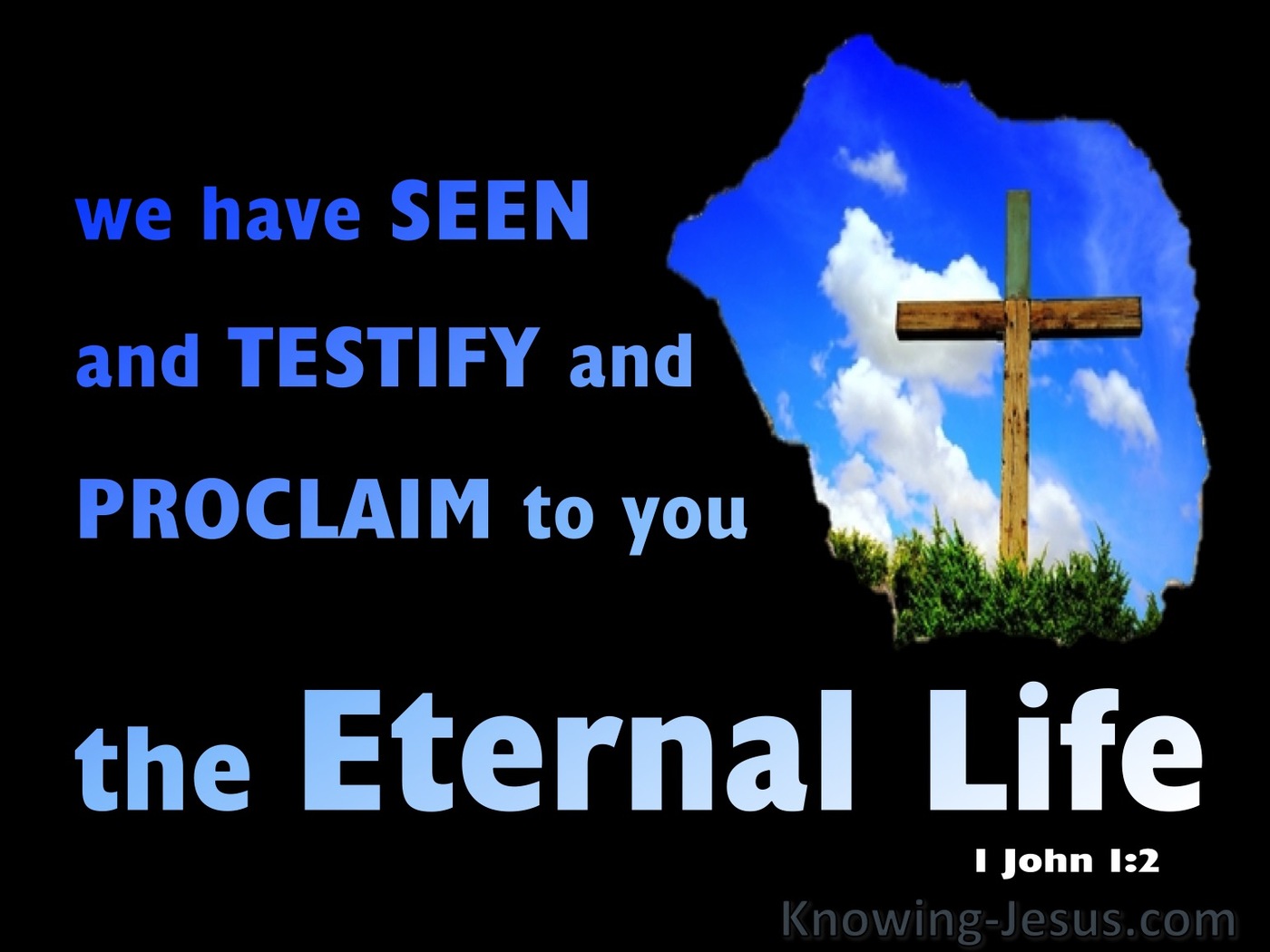 1 John 1:2 We Have Seen Testify And Proclaim Eternal Life (blue)